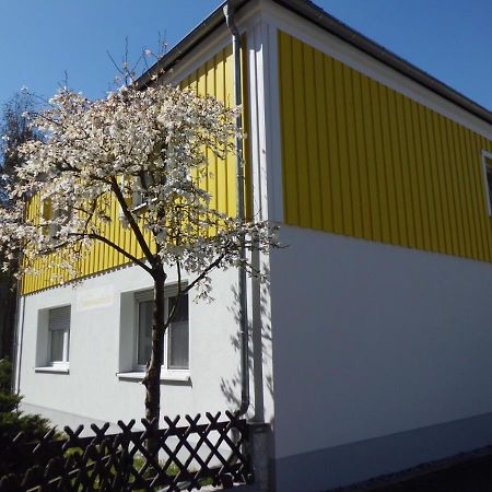 Ferienwohnung Im Haus Sonnenschein Beim Senftenberger See Hosena Екстериор снимка
