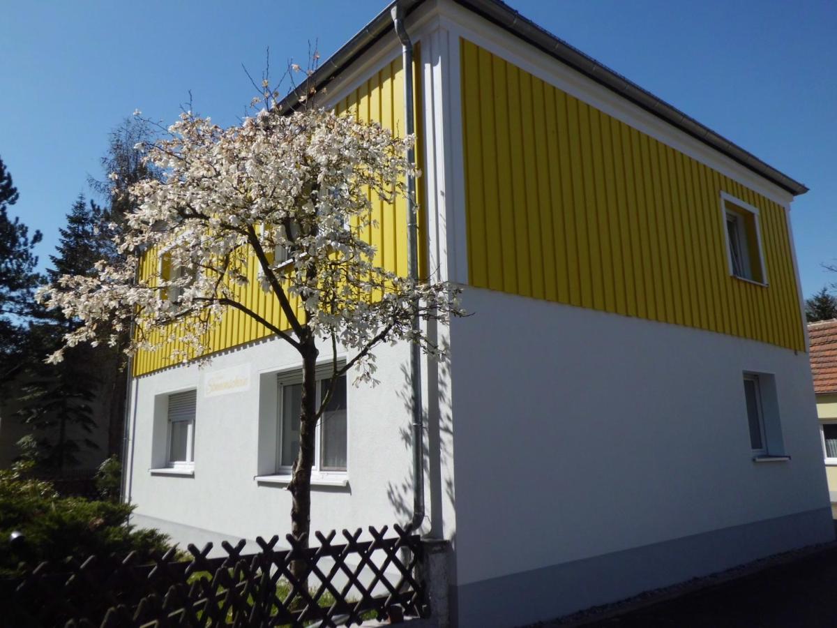 Ferienwohnung Im Haus Sonnenschein Beim Senftenberger See Hosena Екстериор снимка